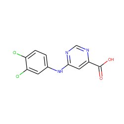 O=C(O)c1cc(Nc2ccc(Cl)c(Cl)c2)ncn1 ZINC000071634444