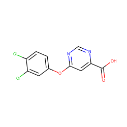 O=C(O)c1cc(Oc2ccc(Cl)c(Cl)c2)ncn1 ZINC000299854685