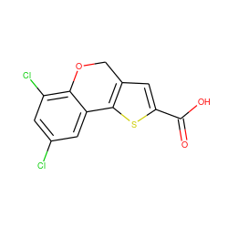 O=C(O)c1cc2c(s1)-c1cc(Cl)cc(Cl)c1OC2 ZINC000584639482