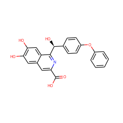 O=C(O)c1cc2cc(O)c(O)cc2c([C@@H](O)c2ccc(Oc3ccccc3)cc2)n1 ZINC000013490154