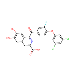 O=C(O)c1cc2cc(O)c(O)cc2c(C(=O)c2ccc(Oc3cc(Cl)cc(Cl)c3)c(F)c2)n1 ZINC000003815869