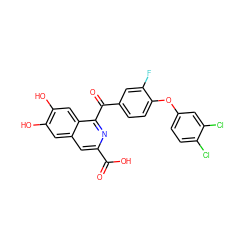 O=C(O)c1cc2cc(O)c(O)cc2c(C(=O)c2ccc(Oc3ccc(Cl)c(Cl)c3)c(F)c2)n1 ZINC000013490166