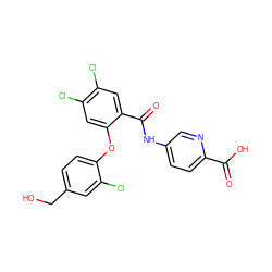 O=C(O)c1ccc(NC(=O)c2cc(Cl)c(Cl)cc2Oc2ccc(CO)cc2Cl)cn1 ZINC000218494076