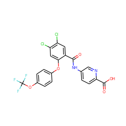 O=C(O)c1ccc(NC(=O)c2cc(Cl)c(Cl)cc2Oc2ccc(OC(F)(F)F)cc2)cn1 ZINC000143155149