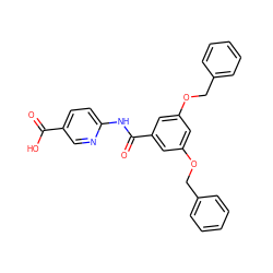 O=C(O)c1ccc(NC(=O)c2cc(OCc3ccccc3)cc(OCc3ccccc3)c2)nc1 ZINC000001491267