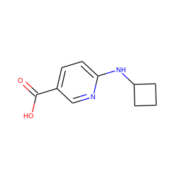 O=C(O)c1ccc(NC2CCC2)nc1 ZINC000028825512