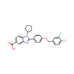 O=C(O)c1ccc2c(c1)nc(-c1ccc(OCc3ccc(Cl)c(Cl)c3)cc1)n2C1CCCC1 ZINC000036350375