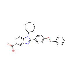 O=C(O)c1ccc2c(c1)nc(-c1ccc(OCc3ccccc3)cc1)n2C1CCCCCC1 ZINC000034817578