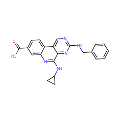 O=C(O)c1ccc2c(c1)nc(NC1CC1)c1nc(NCc3ccccc3)ncc12 ZINC000140320051