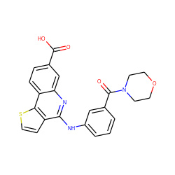 O=C(O)c1ccc2c(c1)nc(Nc1cccc(C(=O)N3CCOCC3)c1)c1ccsc12 ZINC000167787602