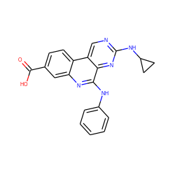 O=C(O)c1ccc2c(c1)nc(Nc1ccccc1)c1nc(NC3CC3)ncc12 ZINC000066112984