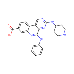 O=C(O)c1ccc2c(c1)nc(Nc1ccccc1)c1nc(NC3CCNCC3)ncc12 ZINC000139801618