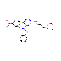 O=C(O)c1ccc2c(c1)nc(Nc1ccccc1)c1nc(NCCCN3CCOCC3)ncc12 ZINC000139803355