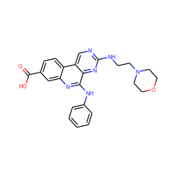 O=C(O)c1ccc2c(c1)nc(Nc1ccccc1)c1nc(NCCN3CCOCC3)ncc12 ZINC000139812276