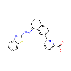 O=C(O)c1cccc(-c2ccc3c(c2)/C(=N/Nc2nc4ccccc4s2)CCC3)n1 ZINC000095920917