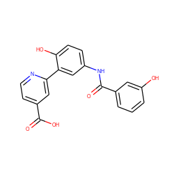 O=C(O)c1ccnc(-c2cc(NC(=O)c3cccc(O)c3)ccc2O)c1 ZINC000653722022