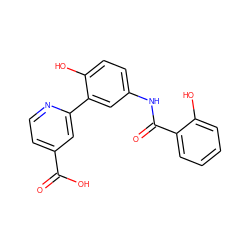 O=C(O)c1ccnc(-c2cc(NC(=O)c3ccccc3O)ccc2O)c1 ZINC000653737678