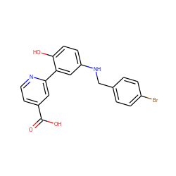 O=C(O)c1ccnc(-c2cc(NCc3ccc(Br)cc3)ccc2O)c1 ZINC000653738955