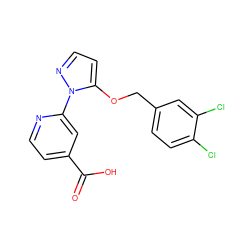 O=C(O)c1ccnc(-n2nccc2OCc2ccc(Cl)c(Cl)c2)c1 ZINC000146701722