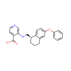 O=C(O)c1ccncc1NC[C@@H]1CCCc2cc(Oc3ccccc3)ccc21 ZINC000221405324