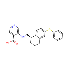 O=C(O)c1ccncc1NC[C@@H]1CCCc2cc(Sc3ccccc3)ccc21 ZINC000216984153