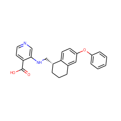 O=C(O)c1ccncc1NC[C@H]1CCCc2cc(Oc3ccccc3)ccc21 ZINC000221405276