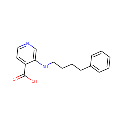 O=C(O)c1ccncc1NCCCCc1ccccc1 ZINC000205303880