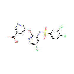 O=C(O)c1cncc(Oc2ncc(Cl)cc2NS(=O)(=O)c2ccc(Cl)c(Cl)c2)c1 ZINC000053294184