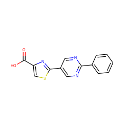 O=C(O)c1csc(-c2cnc(-c3ccccc3)nc2)n1 ZINC000118613395