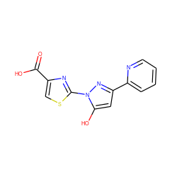 O=C(O)c1csc(-n2nc(-c3ccccn3)cc2O)n1 ZINC001772571825