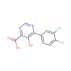 O=C(O)c1ncnc(-c2ccc(Cl)c(Cl)c2)c1O ZINC000299869667