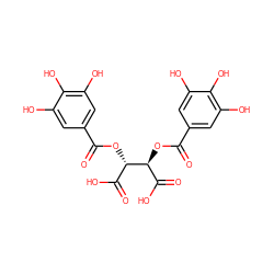 O=C(O[C@@H](C(=O)O)[C@@H](OC(=O)c1cc(O)c(O)c(O)c1)C(=O)O)c1cc(O)c(O)c(O)c1 ZINC000013556359