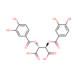 O=C(O[C@@H](C(=O)O)[C@@H](OC(=O)c1ccc(O)c(O)c1)C(=O)O)c1ccc(O)c(O)c1 ZINC000013556362