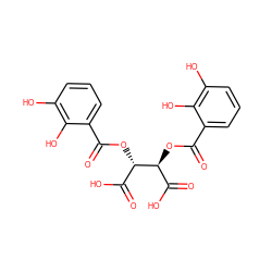 O=C(O[C@@H](C(=O)O)[C@@H](OC(=O)c1cccc(O)c1O)C(=O)O)c1cccc(O)c1O ZINC000013556368