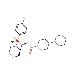 O=C(O[C@@H]1CC[C@H]2CCC[C@H]1N2S(=O)(=O)c1ccc(Cl)cc1)N1CCC(N2CCCCC2)CC1 ZINC000101099443