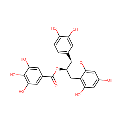 O=C(O[C@@H]1Cc2c(O)cc(O)cc2O[C@@H]1c1ccc(O)c(O)c1)c1cc(O)c(O)c(O)c1 ZINC000003978503