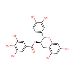 O=C(O[C@@H]1Cc2c(O)cc(O)cc2O[C@H]1c1ccc(O)c(O)c1)c1cc(O)c(O)c(O)c1 ZINC000008681494