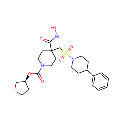 O=C(O[C@H]1CCOC1)N1CCC(CS(=O)(=O)N2CCC(c3ccccc3)CC2)(C(=O)NO)CC1 ZINC000029039815