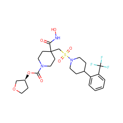 O=C(O[C@H]1CCOC1)N1CCC(CS(=O)(=O)N2CCC(c3ccccc3C(F)(F)F)CC2)(C(=O)NO)CC1 ZINC000029039874