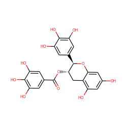 O=C(O[C@H]1Cc2c(O)cc(O)cc2O[C@@H]1c1cc(O)c(O)c(O)c1)c1cc(O)c(O)c(O)c1 ZINC000003870414