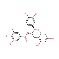 O=C(O[C@H]1Cc2c(O)cc(O)cc2O[C@@H]1c1ccc(O)c(O)c1)c1cc(O)c(O)c(O)c1 ZINC000004534390