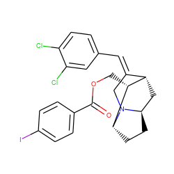 O=C(OC[C@@H]1[C@H]2C[C@H]3CC[C@H]1N3C/C2=C\c1ccc(Cl)c(Cl)c1)c1ccc(I)cc1 ZINC000253696117