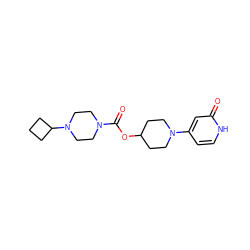 O=C(OC1CCN(c2cc[nH]c(=O)c2)CC1)N1CCN(C2CCC2)CC1 ZINC000206797923