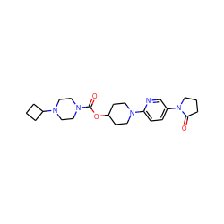 O=C(OC1CCN(c2ccc(N3CCCC3=O)cn2)CC1)N1CCN(C2CCC2)CC1 ZINC000223519310