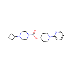 O=C(OC1CCN(c2ccccn2)CC1)N1CCN(C2CCC2)CC1 ZINC000223499572