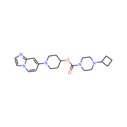 O=C(OC1CCN(c2ccn3ccnc3c2)CC1)N1CCN(C2CCC2)CC1 ZINC000223508676