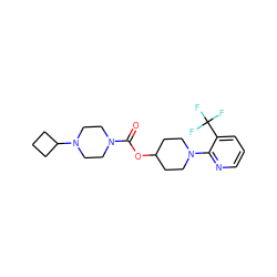 O=C(OC1CCN(c2ncccc2C(F)(F)F)CC1)N1CCN(C2CCC2)CC1 ZINC000223542439