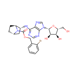 O=C(OCc1ccccc1Br)N1[C@H]2CC[C@H]1[C@H](Nc1ncnc3c1ncn3[C@@H]1O[C@H](CO)[C@@H](O)[C@H]1O)C2 ZINC000101155560