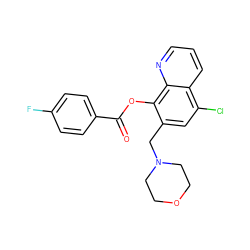 O=C(Oc1c(CN2CCOCC2)cc(Cl)c2cccnc12)c1ccc(F)cc1 ZINC000019863735