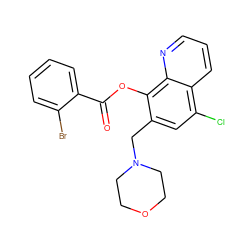 O=C(Oc1c(CN2CCOCC2)cc(Cl)c2cccnc12)c1ccccc1Br ZINC000021486787